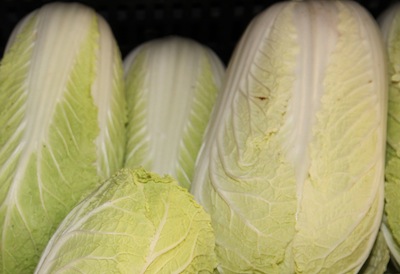 Long cabbage